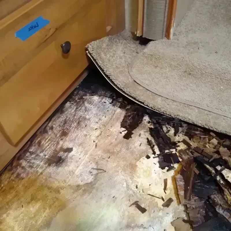 Best Wood Floor Water Damage Service in Attala County, MS